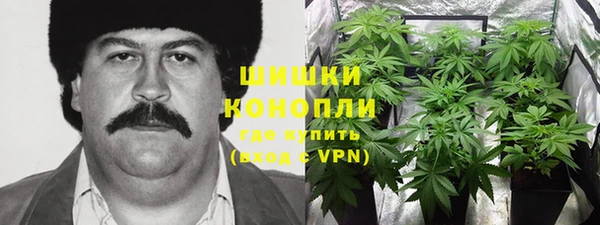 мяу мяу мука Баксан