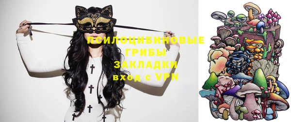 мяу мяу мука Баксан